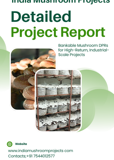 mushroom project DPR report with financial analysis and ROI planning