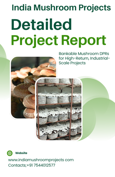 mushroom project DPR report with financial analysis and ROI planning