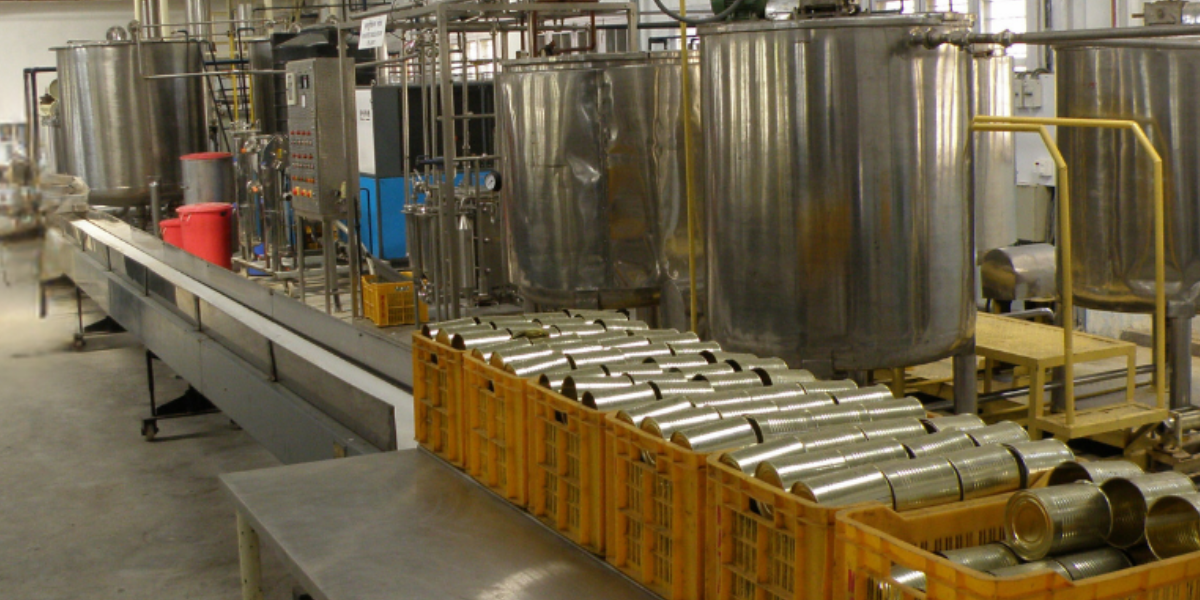 mushroom processing unit producing powder, extracts and packaged value-added products