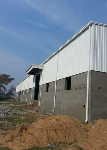 industrial mushroom turnkey project with tunnels, PUF growing rooms and automated systems