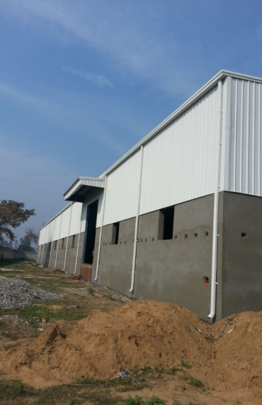 industrial mushroom turnkey project with tunnels, PUF growing rooms and automated systems