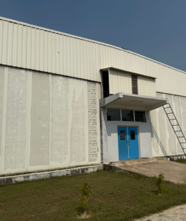 expert consultant planning mushroom turnkey project layout